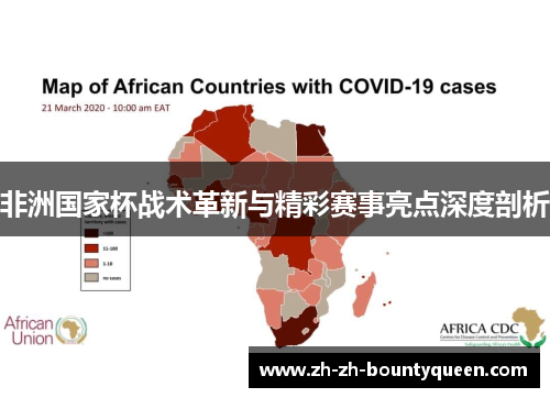 非洲国家杯战术革新与精彩赛事亮点深度剖析